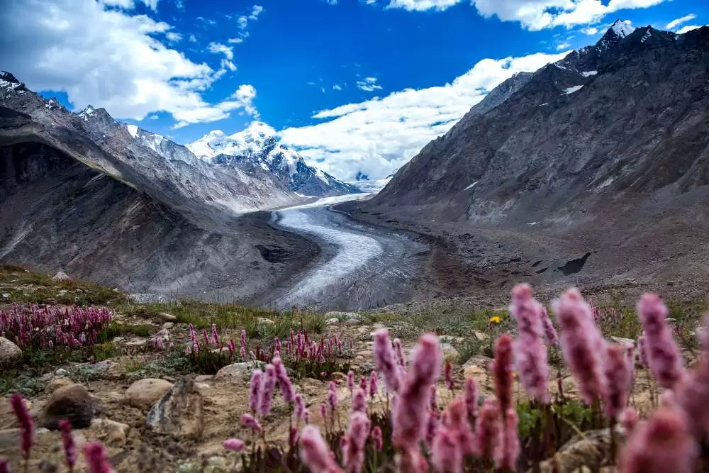 Darng Drang Drung Glacier | Wander Yak