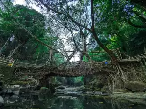 Double Decker Root Bridge Trek