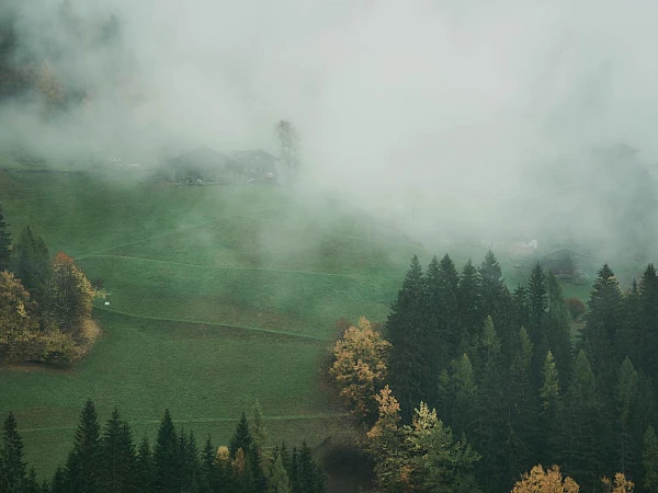 Shangarh Sainj Valley Tour